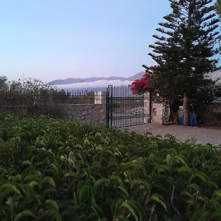 μεδ-οίκων γιατριάνων House